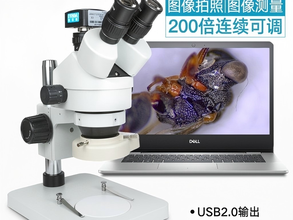 三目体视显微镜
